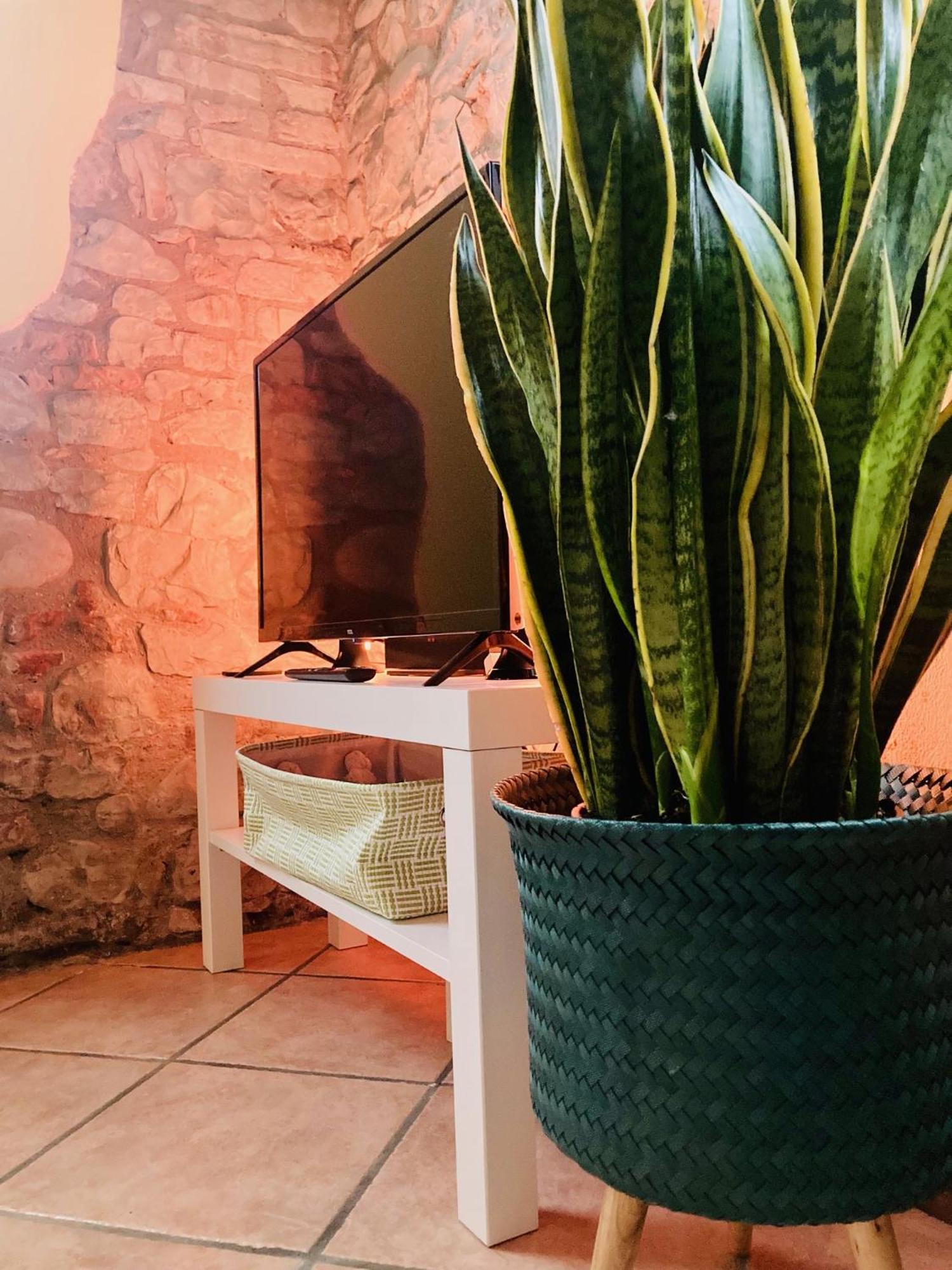 Residenza Borgo 9 Lejlighed Collecchio Eksteriør billede